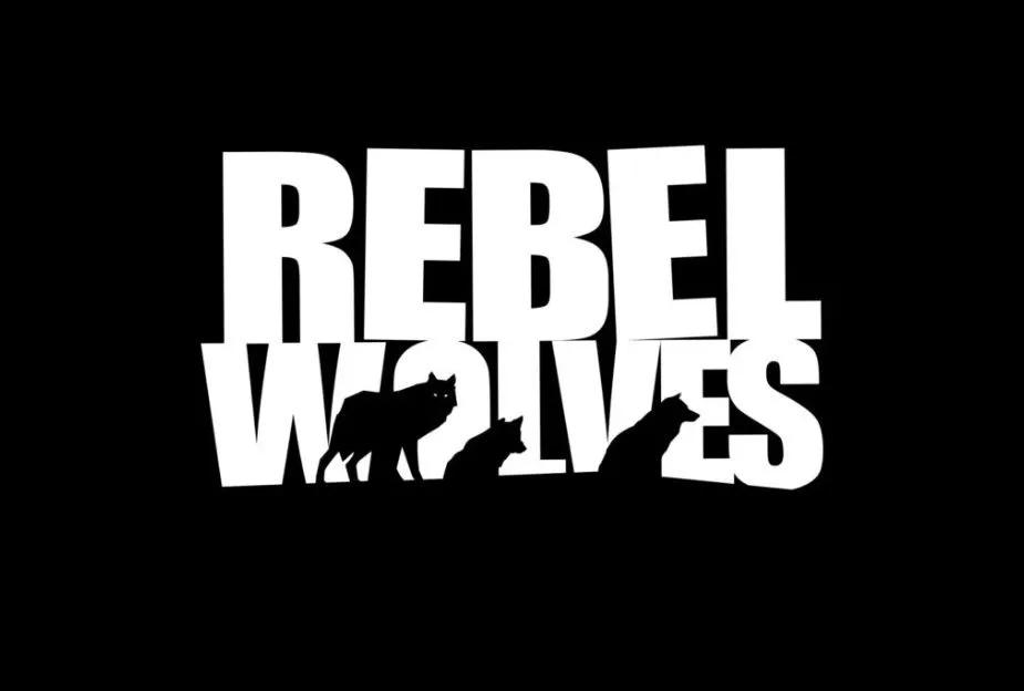 "Rebel Wolves" welcomes an experienced professional from CD Projekt Red to join their team as the new Creative Director