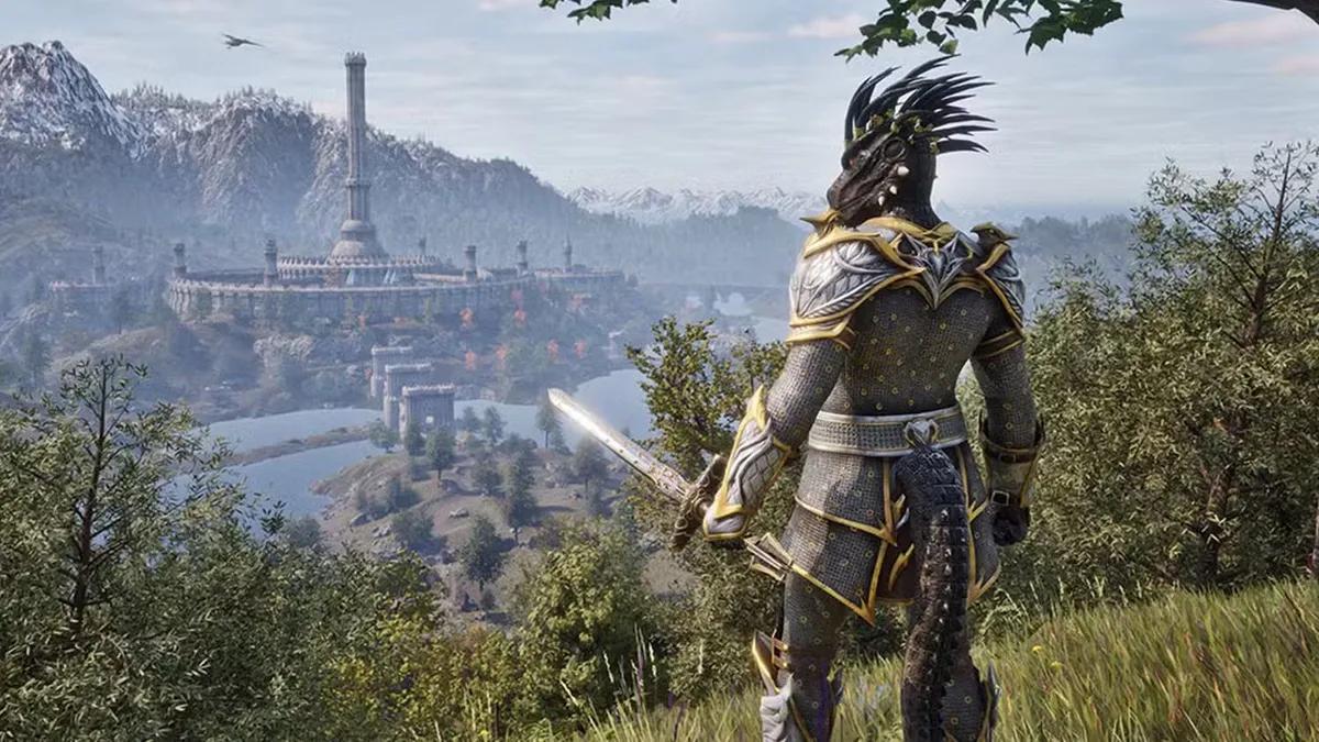Повідомляється, що The Elder Scrolls 6 знаходиться у "придатному для гри" стані - але релізу все ще не планується