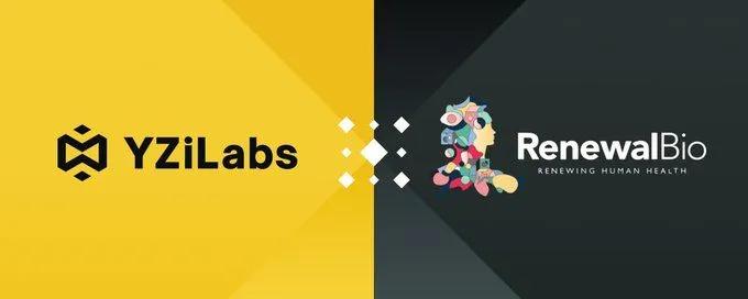 YZi Labs інвестує в Renewal Bio: Революційний крок у регенеративній медицині для подолання дефіциту органів