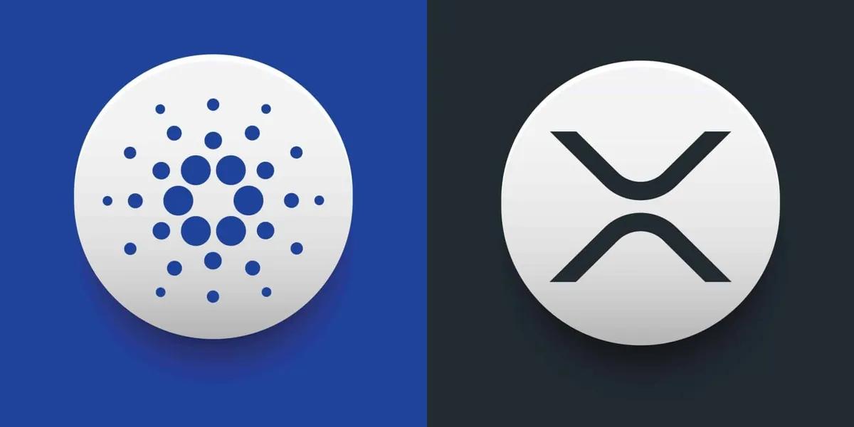 Майк Новограц виносить суворе попередження XRP та Cardano