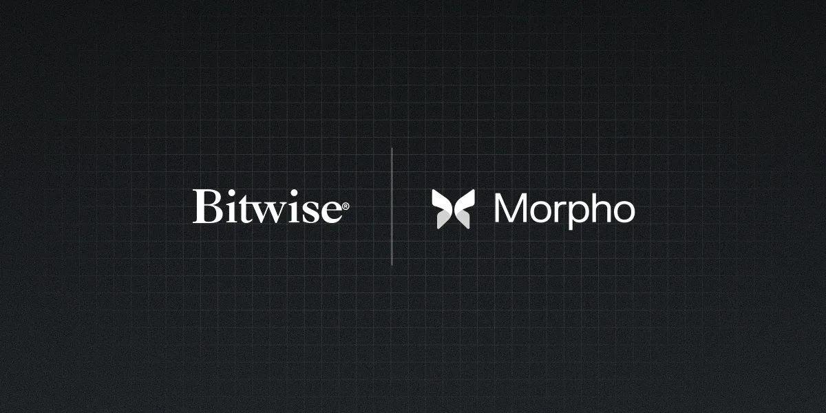 Bitwise запускає он-лайн сховище у партнерстві з Morpho