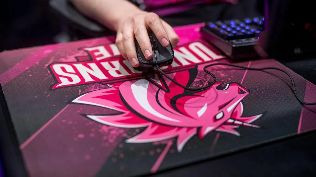 Unicorns of Love opened a VALORANT division