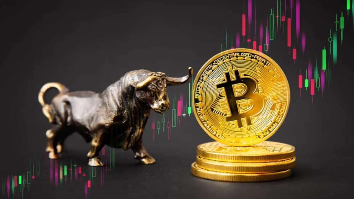 XOR strategy founder: "BTC bullrun starts here"