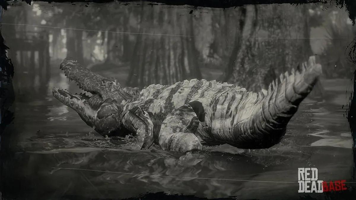 Conquer the Wild: Unleashing the Power of the Legendary Alligator in Red Dead Redemption 2 - A Hunter's Guide to the Ultimate Pursuit!