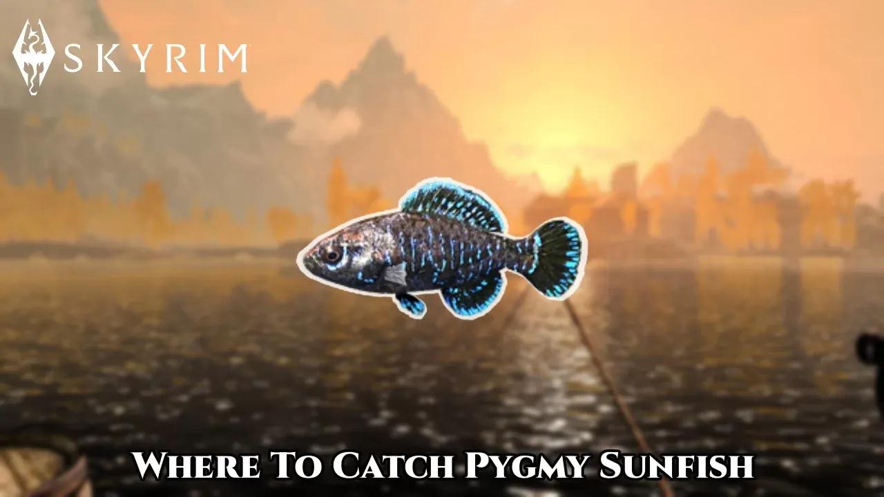 Master the Hunt: Unveiling the Ultimate Guide to Catching Pygmy Sunfish in Skyrim's Vast Wilderness!