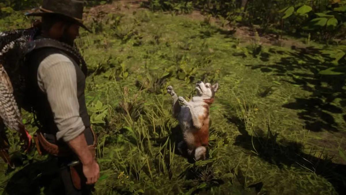 Прихована деталь у Red Dead Redemption 2: рідкісний собака з гетерохромією виявлений через роки!