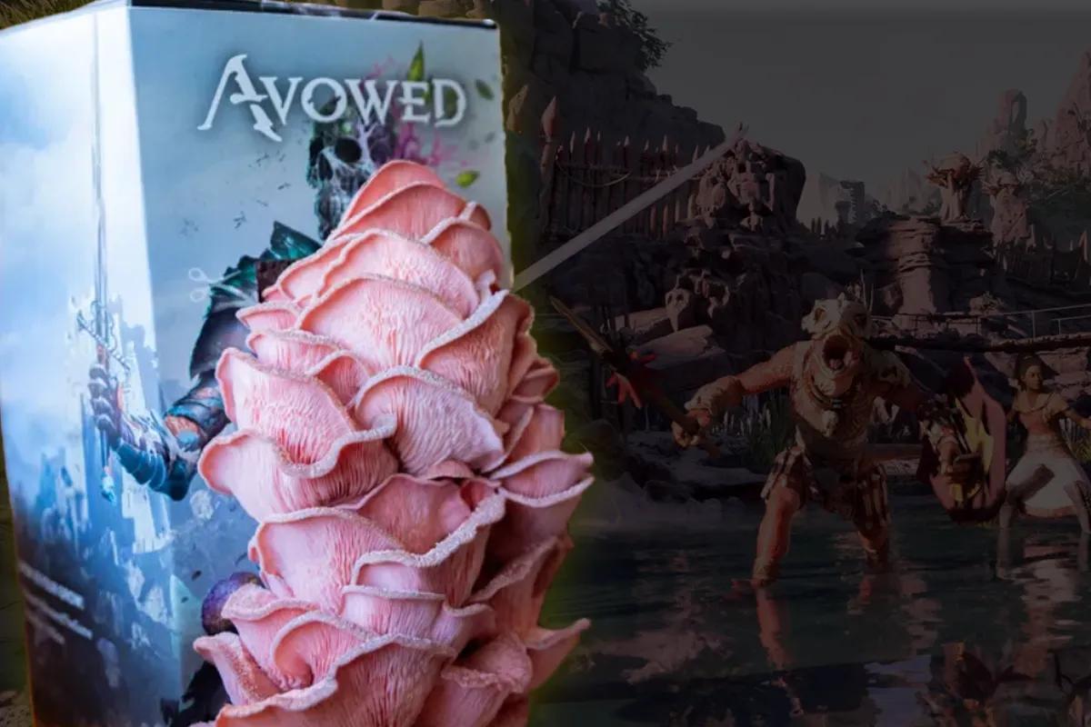 Грибні набори від Avowed дозволяють вирощувати гриби, як у Dreamscourge