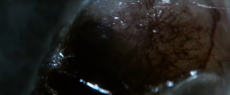 FX's Alien: Earth Teaser Drops New Monsters — Just in Time for Alien Day 4