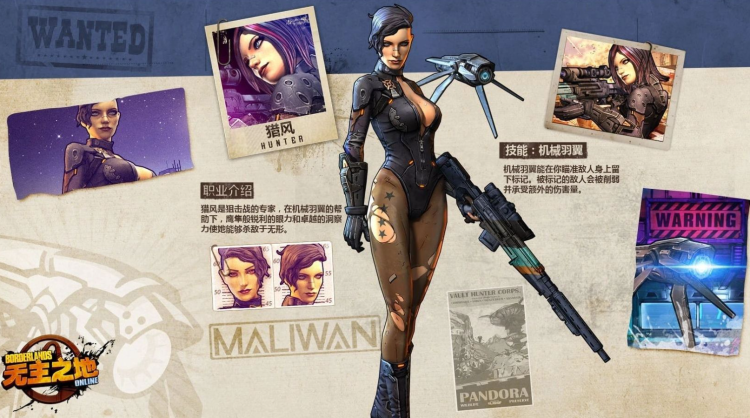 Архівісти Borderlands поспішають врятувати втрачену MMO, перш ніж вона зникне назавжди.