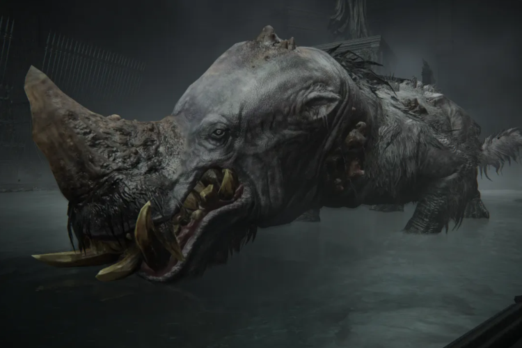 Золотий Гіпопотам Руйнує Біг у Elden Ring: Nightreign 1