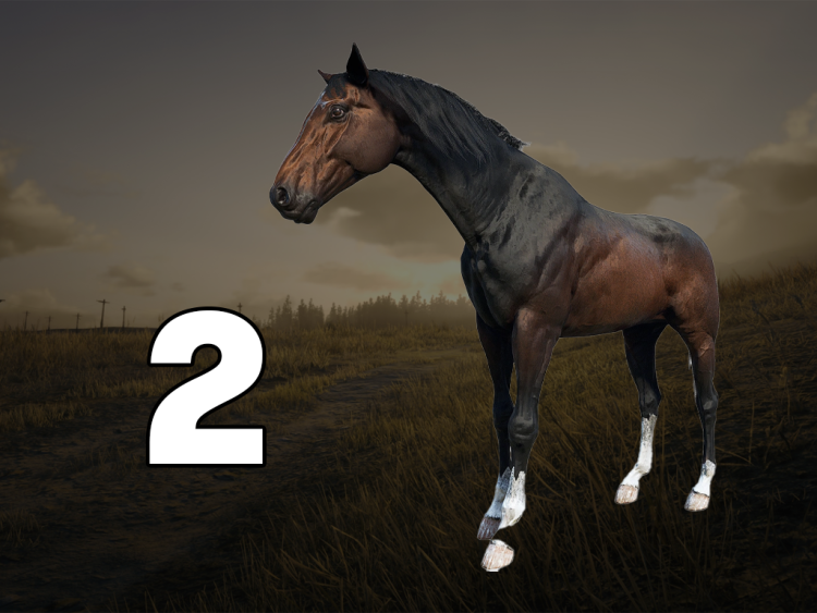 10 найкращих коней у Red Dead Redemption 2, ранжованих за продуктивністю 9