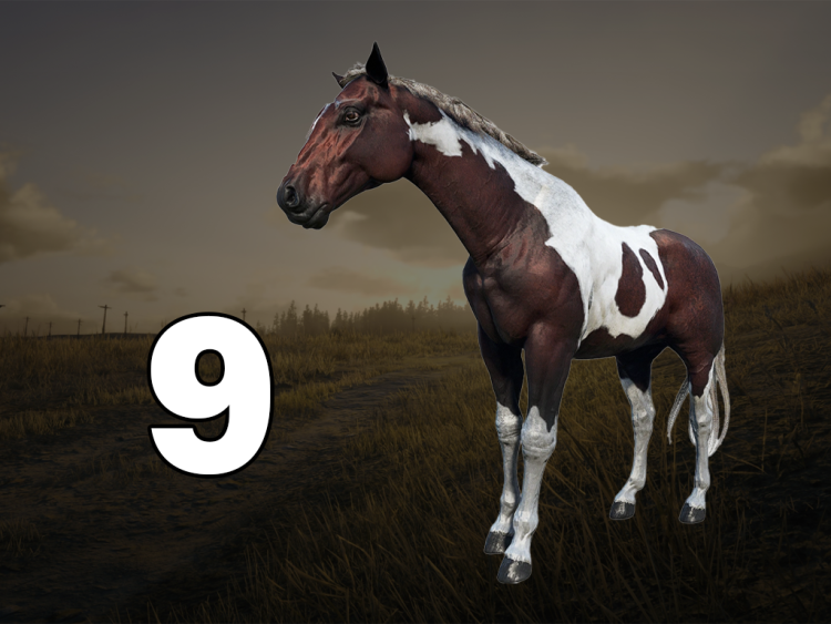 10 найкращих коней у Red Dead Redemption 2, ранжованих за продуктивністю 2